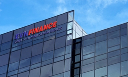 Thanh tra kết luận loạt vi phạm tại EVN Finance