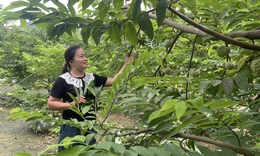 B&#236;nh đẳng giới, &#39;ch&#236;a kh&#243;a&#39; để ph&#225;t triển kinh tế gia đ&#236;nh