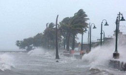 Vùng áp thấp đã mạnh lên thành áp thấp nhiệt đới, di chuyển nhanh