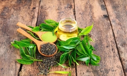 6 loại trà chống viêm tốt nhất cho cơ thể