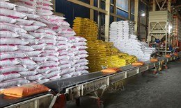 Gạo Việt hướng tới gi&#225; trị gia tăng v&#224; ph&#225;t triển bền vững