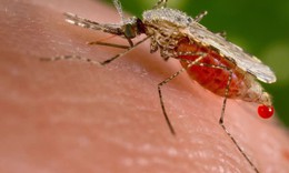 Nhận biết cơn sốt r&#233;t &#225;c t&#237;nh