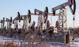 Chiều 26/8, giá dầu rời khỏi mức cao nhất 2 tuần