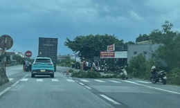 Hai mẹ con thương vong khi lưu thông trên QL 1A