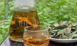 6 loại trà thảo mộc tốt cho người bệnh gan nhiễm mỡ không do rượu