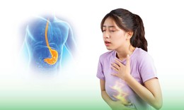Hỗ trợ giảm nhanh rối loạn tiêu hóa và dư axit dạ dày: Giải pháp từ Châu Âu