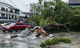 Hà Tĩnh dừng bắn pháo hoa dịp Quốc khánh để khắc phục hậu quả bão số 5