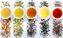 9 loại tr&#224; thuốc trị bệnh thường gặp