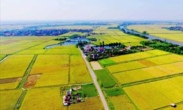 Trường hợp được miễn giảm tiền sử dụng đất, tiền thuê đất từ 1/10/2025