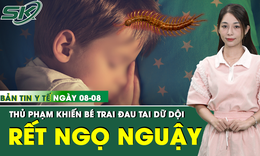 Bản Tin Y Tế 8/8: R&#249;ng m&#236;nh ph&#225;t hiện thủ phạm khiến tai b&#233; trai đau dữ dội