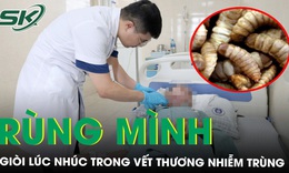 R&#249;ng m&#236;nh gi&#242;i l&#250;c nh&#250;c trong vết thương nhiễm tr&#249;ng 