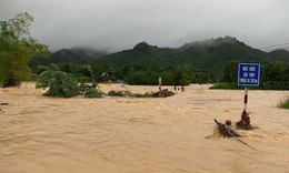 Đề nghị Ph&#250; Thọ, Bắc Ninh, Hải Ph&#242;ng c&#243; phương &#225;n bảo vệ đ&#234; do lũ d&#226;ng cao