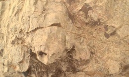 Phát hiện 'rùa đá thò đầu ra khỏi mai' trên Sao Hỏa