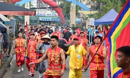 Lễ hội chọi trâu Đồ Sơn 2025 có gì mới?