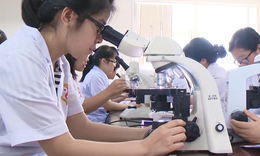 Ứng dụng khoa học c&#244;ng nghệ tăng gi&#225; trị dược liệu qu&#253;
