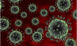 Virus RSV b&#249;ng ph&#225;t nghi&#234;m trọng tại Th&#225;i Lan