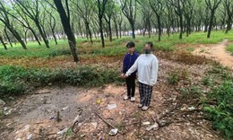 Bắt nam thanh ni&#234;n rủ b&#233; g&#225;i 12 tuổi đi t&#226;m sự rồi giao cấu