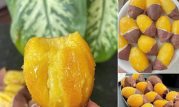 Loại khoai lang được gọi l&#224; &#39;sầu ri&#234;ng&#39; b&#225;n trăm ngh&#236;n một kg vẫn h&#250;t kh&#225;ch