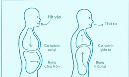 C&#225;ch dưỡng sinh gi&#250;p cơ thể khỏe mạnh, tinh thần thư th&#225;i trong m&#249;a thu