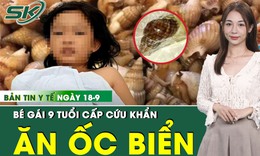 Bản tin Y tế 18/9: B&#233; g&#225;i 9 tuổi cấp cứu, ngộ độc nặng sau ăn ốc biển