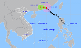 B&#227;o số 8 mạnh th&#234;m, Bộ X&#226;y dựng ph&#225;t c&#244;ng điện khẩn ứng ph&#243;