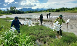 Th&#225;o dỡ &#39;thi&#234;n la địa v&#245;ng&#39;, bảo vệ chim hoang d&#227; m&#249;a di cư