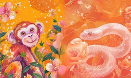 Tử vi 12 con gi&#225;p h&#244;m nay 20/9: Dần thu nhập tốt, T&#253; t&#224;i ch&#237;nh ổn định