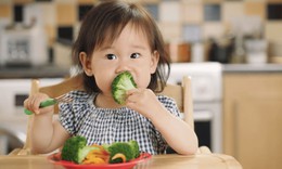 Vai tr&#242; của dinh dưỡng trong 1.000 ng&#224;y đầu đời: Nền tảng cho sự ph&#225;t triển to&#224;n diện của b&#224; mẹ v&#224; trẻ nhỏ