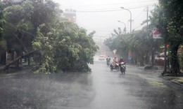 Triển khai gấp c&#225;c biện ph&#225;p ứng ph&#243; với b&#227;o Ragasa