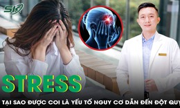 Tại sao n&#243;i stress l&#224; yếu tố nguy cơ dẫn đến đột quỵ?