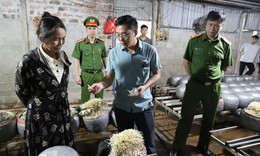 D&#249;ng chất cấm để sản xuất gi&#225; đỗ