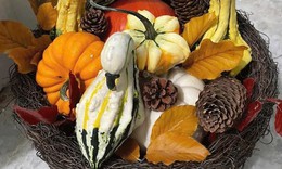 Nhiều người chi tiền triệu săn bí ngô 'độc lạ' về chơi Halloween