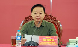 Các địa phương báo cáo với Phó Thủ tướng về thiệt hại ban đầu do bão số 10 gây ra