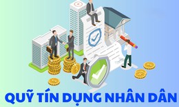 H&#224;ng loạt vi phạm tại Quỹ t&#237;n dụng nh&#226;n d&#226;n Bắc Sơn