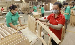 Xuất khẩu n&#244;ng l&#226;m thủy sản 8 th&#225;ng tăng 12%