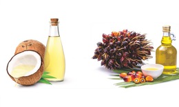2 loại dầu ăn gây hại cho sức khỏe ít ai ngờ