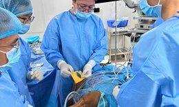 Loại &#39;keo tự th&#226;n&#39; gi&#250;p bệnh nh&#226;n tho&#225;i ho&#225; khớp tho&#225;t khỏi cơn đau k&#233;o d&#224;i