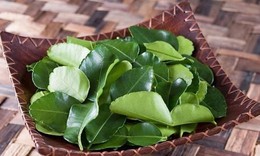Làm đẹp tóc bằng một loại lá có sẵn trong vườn nhà
