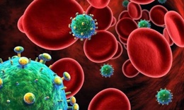 Vai tr&#242; của tế b&#224;o CD4 trong cơ thể v&#224; t&#225;c động của HIV