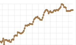 Ngân hàng Nhà nước điều chỉnh tỷ giá USD