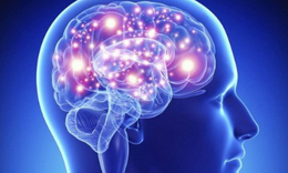 Bổ sung vitamin B – B&#237; quyết tăng cường năng lượng cho n&#227;o bộ