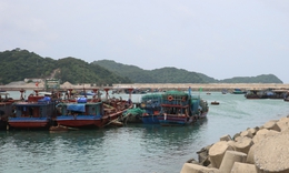 Bão số 7: Quảng Ninh tạm ngừng cấp phép tàu ra khơi một số khu vực biển từ 11h trưa 8/9