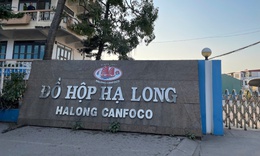 Bắt khẩn cấp Tổng Giám đốc Công ty CP Đồ hộp Hạ Long