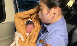 Tiếp viên tàu SE4 hỗ trợ sản phụ sinh con an toàn trên tàu ra Hà Nội