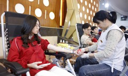 'Chủ nhật Đỏ' 2026 - nhịp cầu nhân ái kết nối những tấm lòng thiện nguyện 