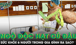 Tình trạng sức khỏe 6 người trong gia đình nhập viện vì ngộ độc hạt củ đậu