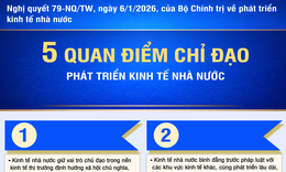 [Infographic] Năm quan điểm chỉ đạo của Bộ Chính trị về phát triển kinh tế nhà nước