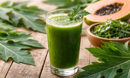 Uống nước ép lá đu đủ mỗi sáng có tác dụng gì?