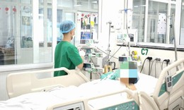 Nhiều ca sốt xuất huyết, tay chân miệng nguy kịch do nhập viện muộn, Bộ Y tế khuyến cáo gì?