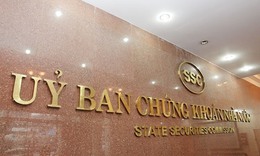 Công ty Viễn thông Trịnh Gia Nguyễn vi phạm lĩnh vực chứng khoán